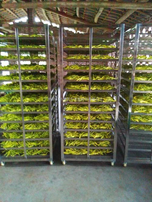 黃花菜烘干機(jī)、黃花菜烘干設(shè)備、黃花菜干燥機(jī)、黃花菜干燥設(shè)備、